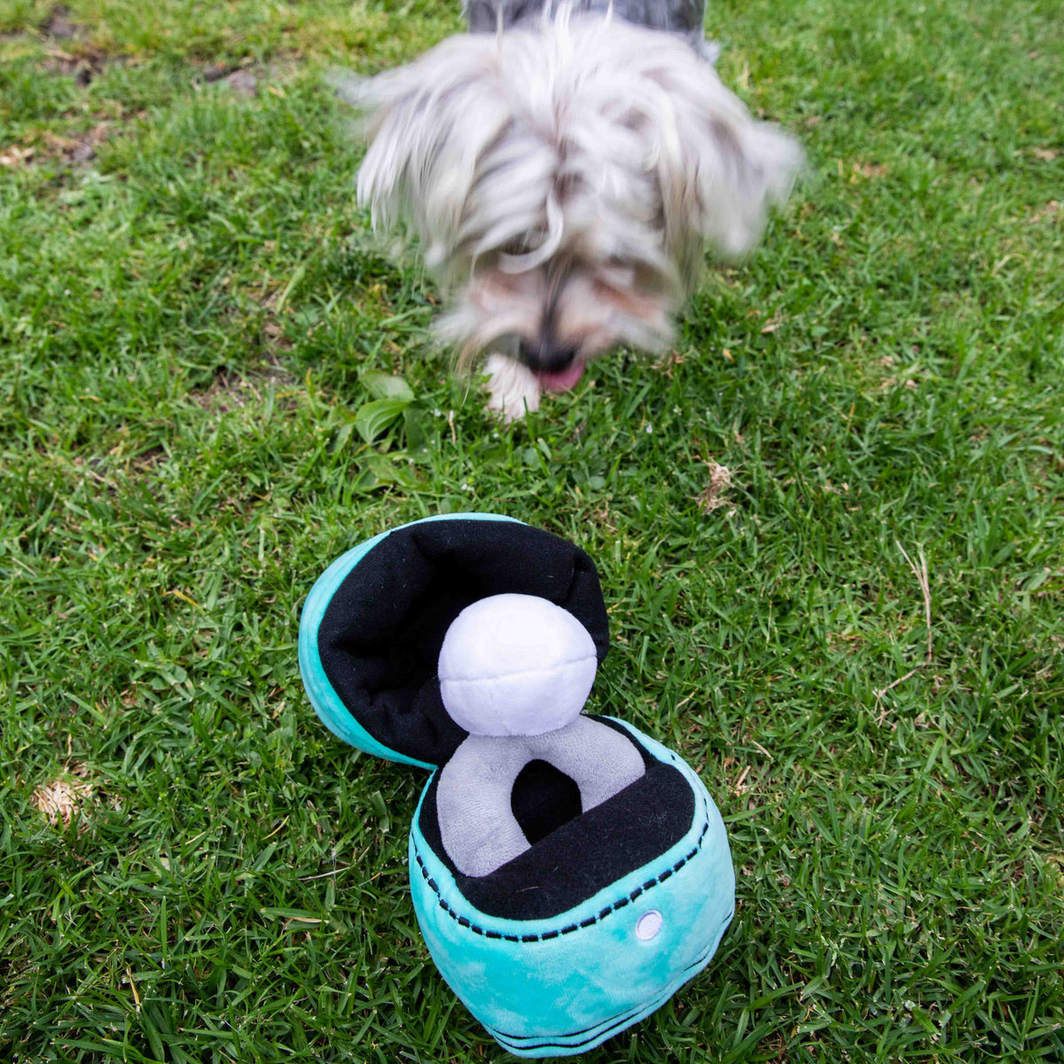 Glow Pups: Engagement Ring Squeaky Plush Dog Toy