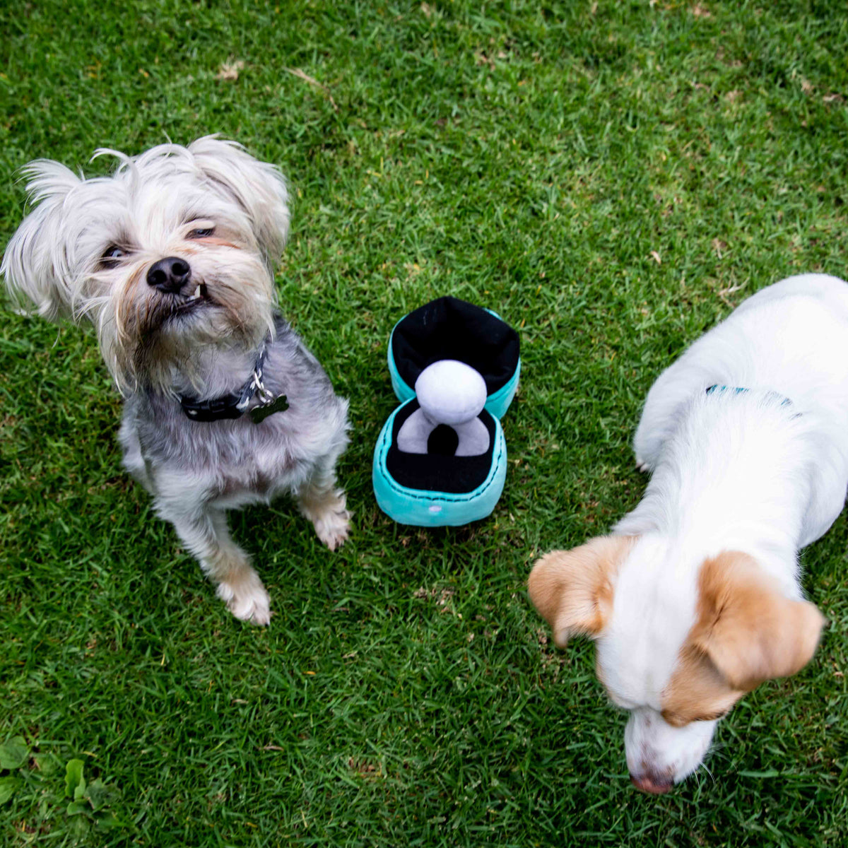 Glow Pups: Engagement Ring Squeaky Plush Dog Toy