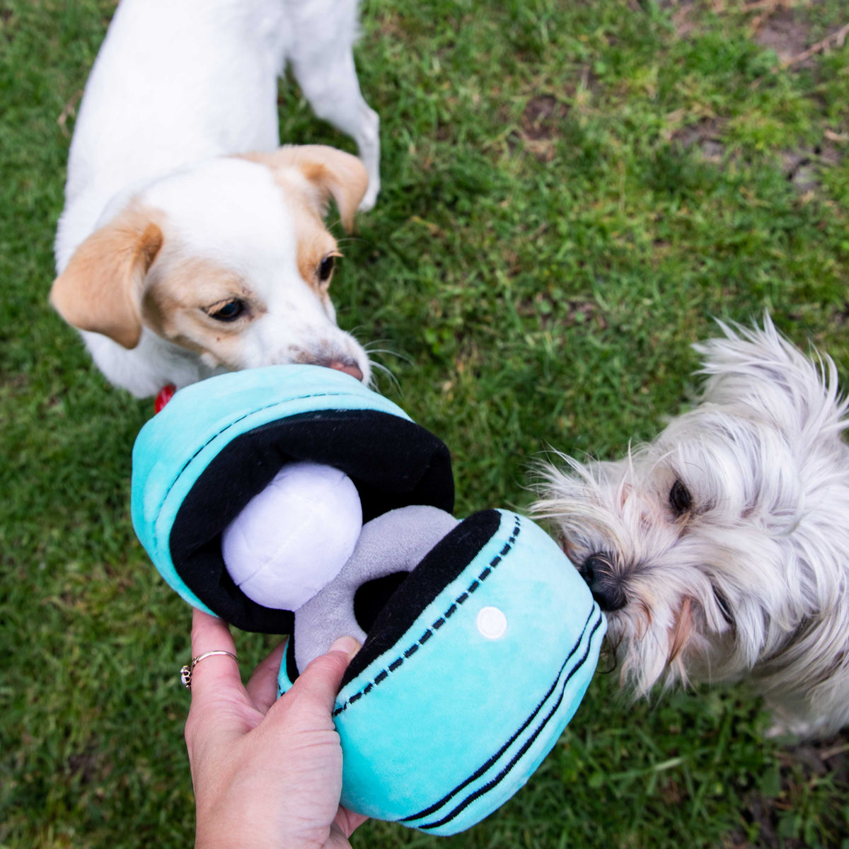 Glow Pups: Engagement Ring Squeaky Plush Dog Toy