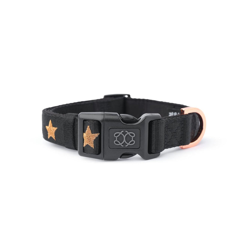 DOGISTRY City Dog Collar - Rockstar