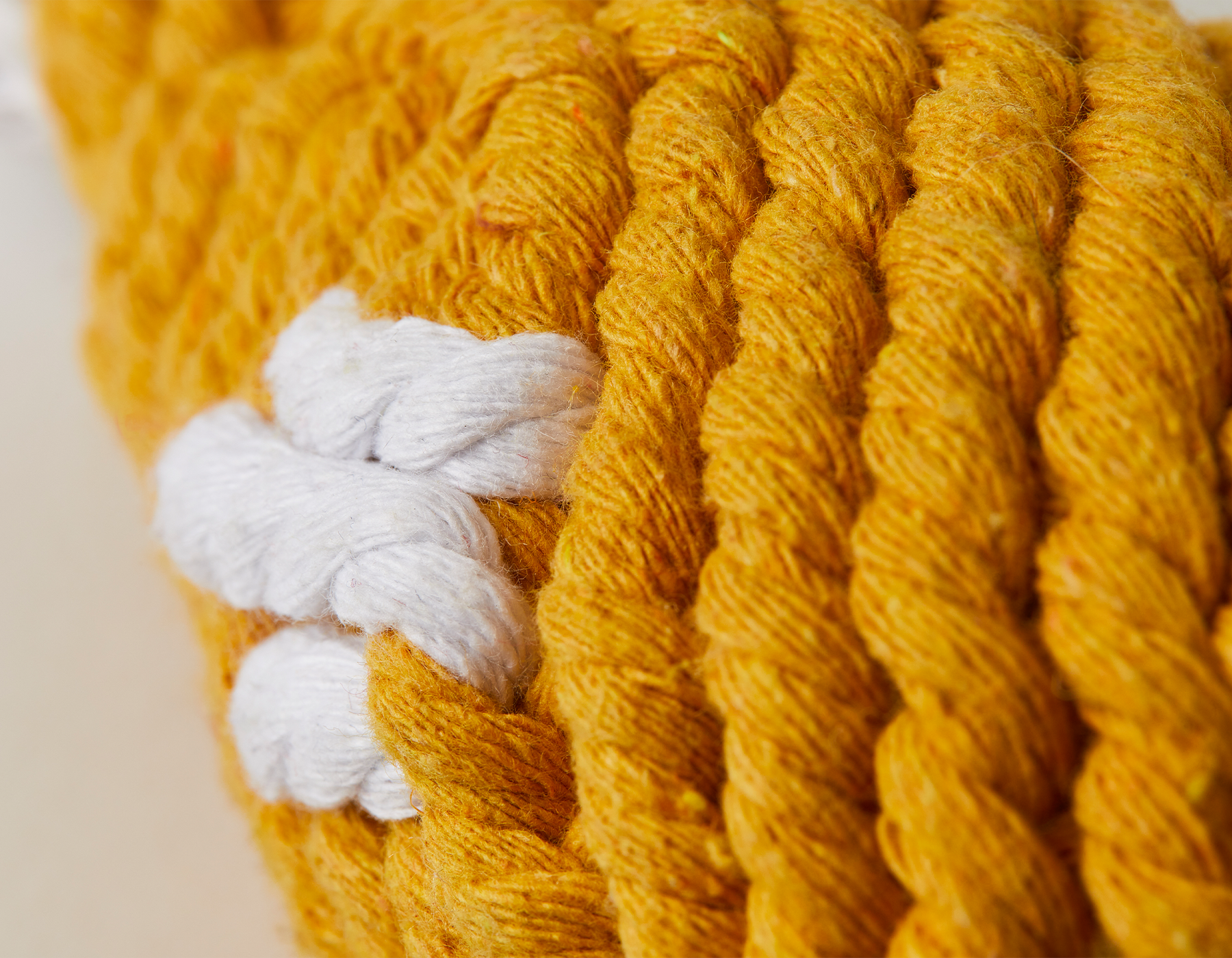 Chicken Drumstick 10