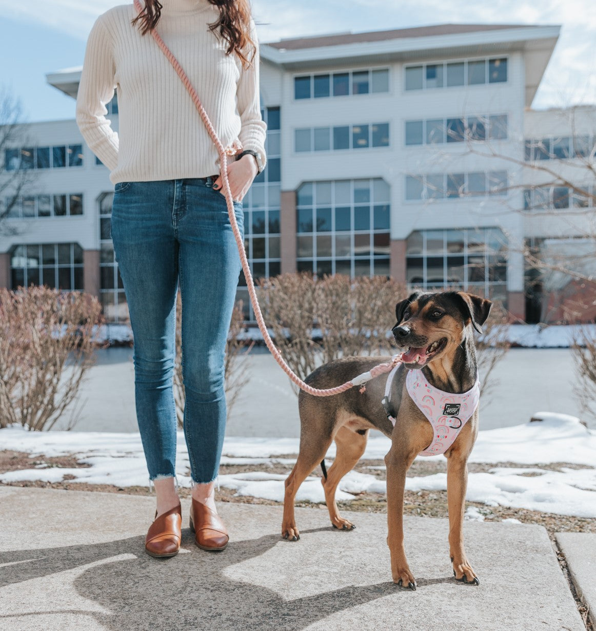 Hands Free Rope Leash - Rose All Day