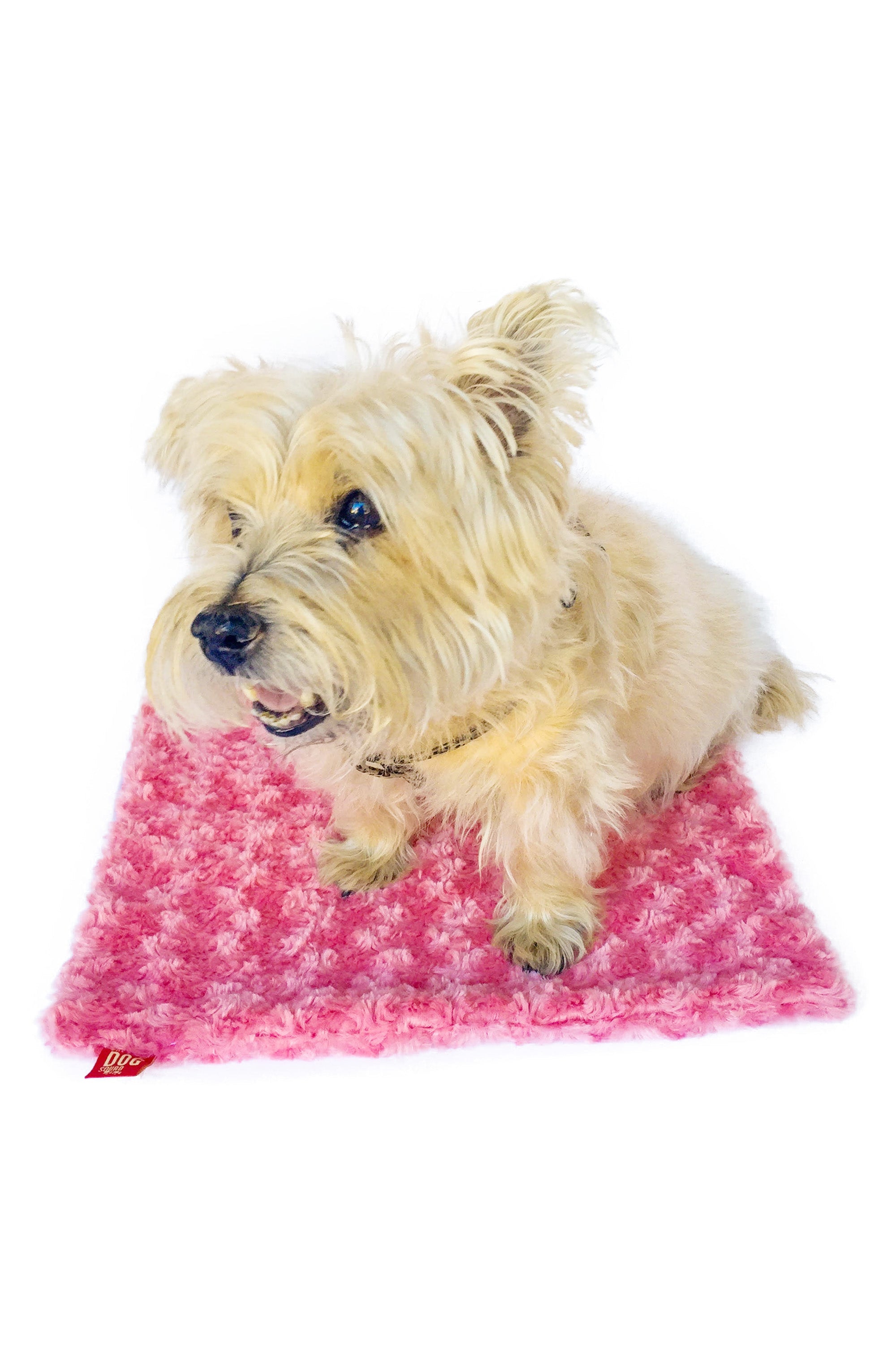 Rosebud Minkie Binkie, Coral