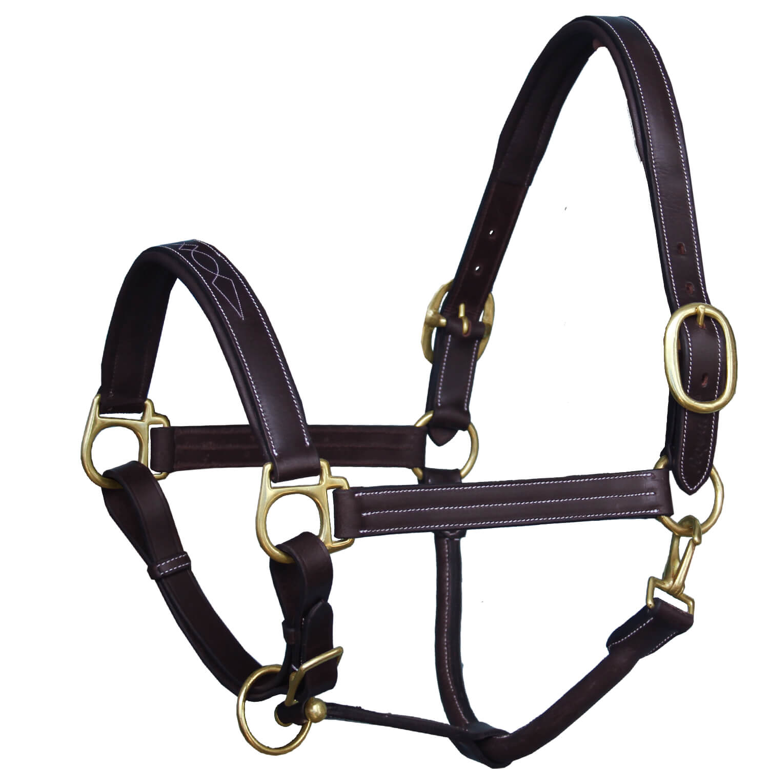 ExionPro Triple Stitched Leather Halter - Brass Hardware - HT Animal Supply