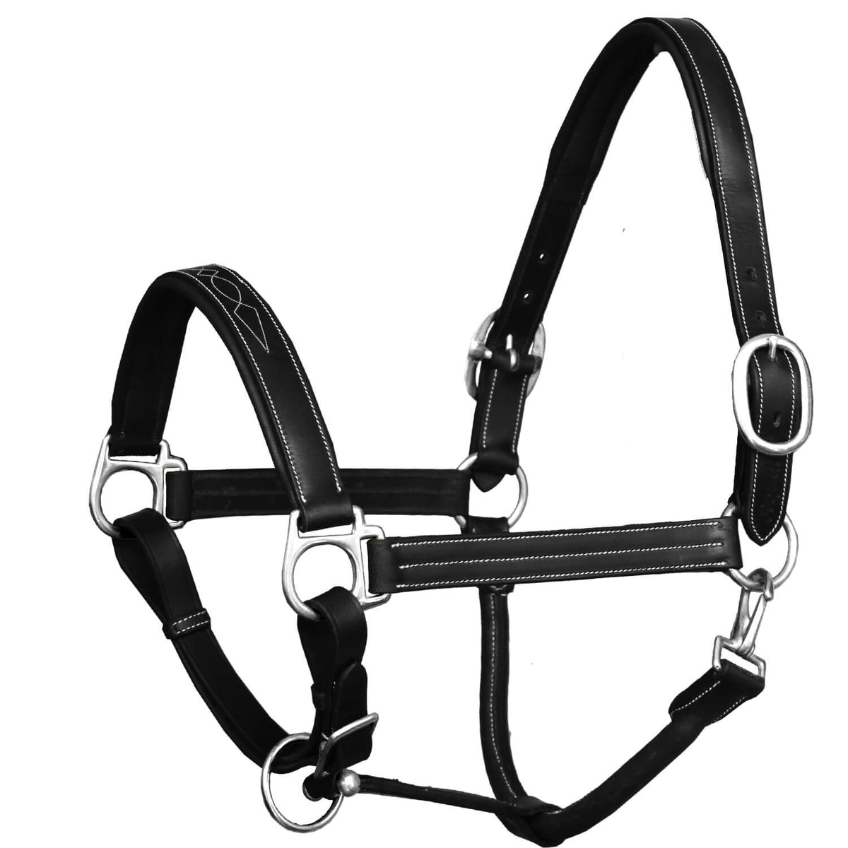 ExionPro Triple Stitched Leather Halter - Brass Nickel Hardware - HT Animal Supply