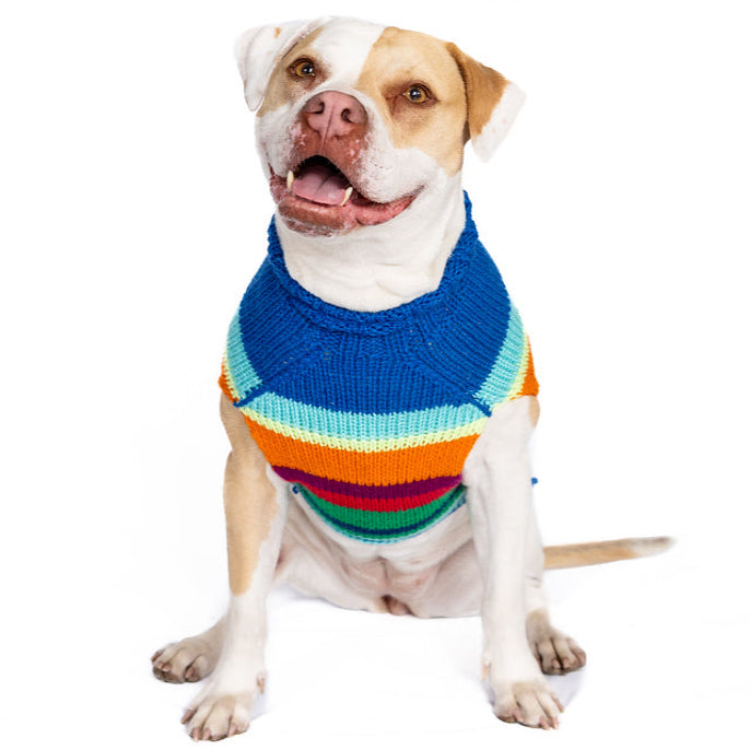 Chilly Dog Alpaca Royal Stripe Dog Sweater