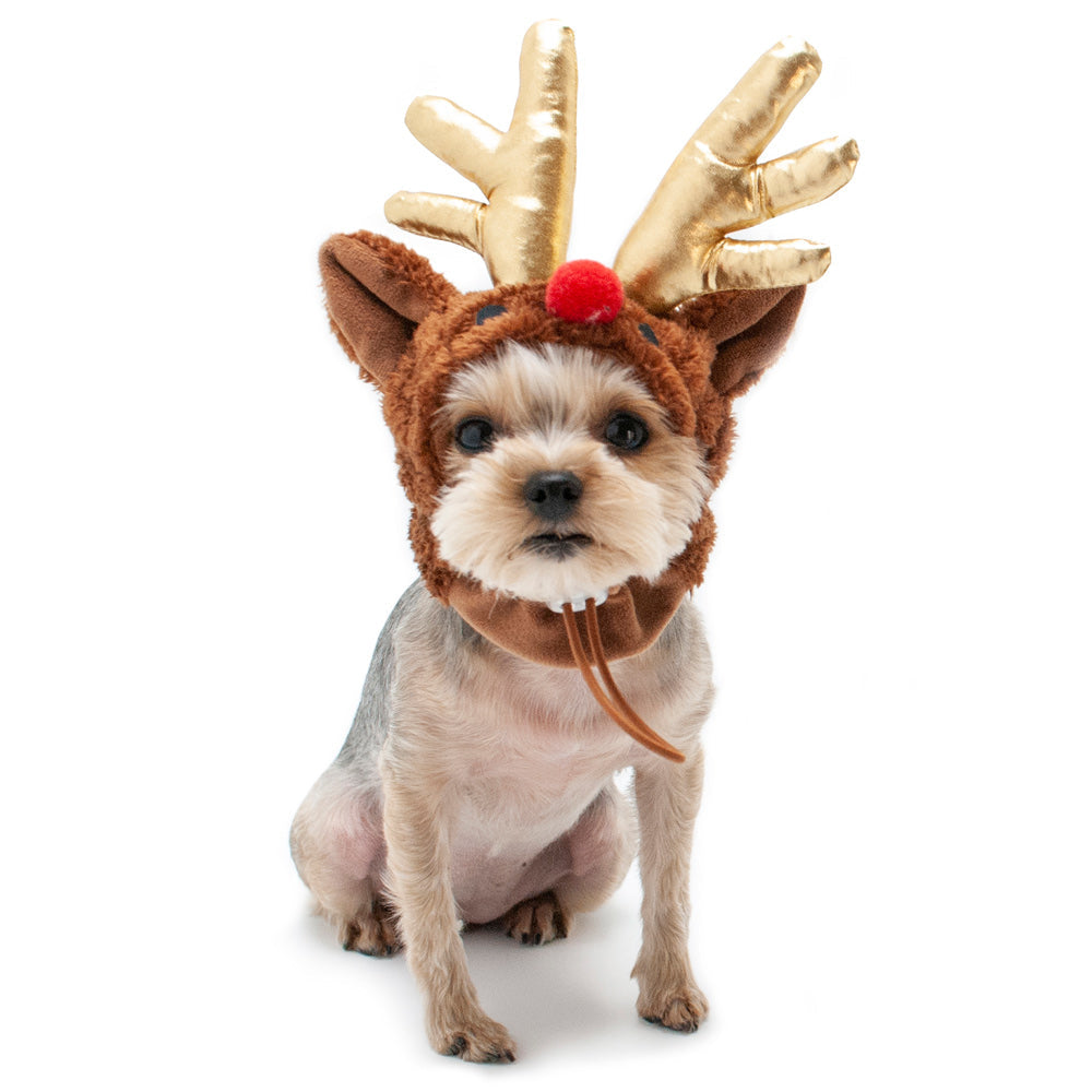 DOGO Rudolph Dog Costume Hat