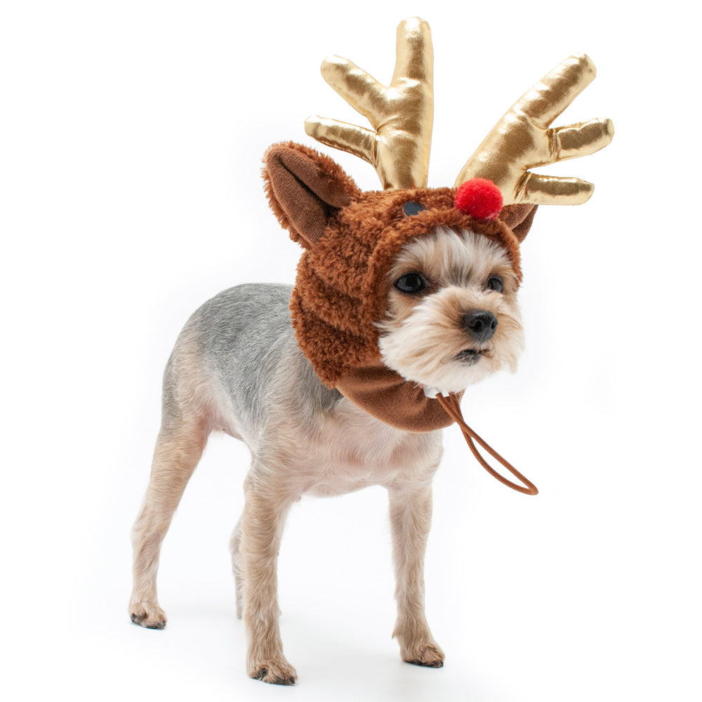DOGO Rudolph Dog Costume Hat