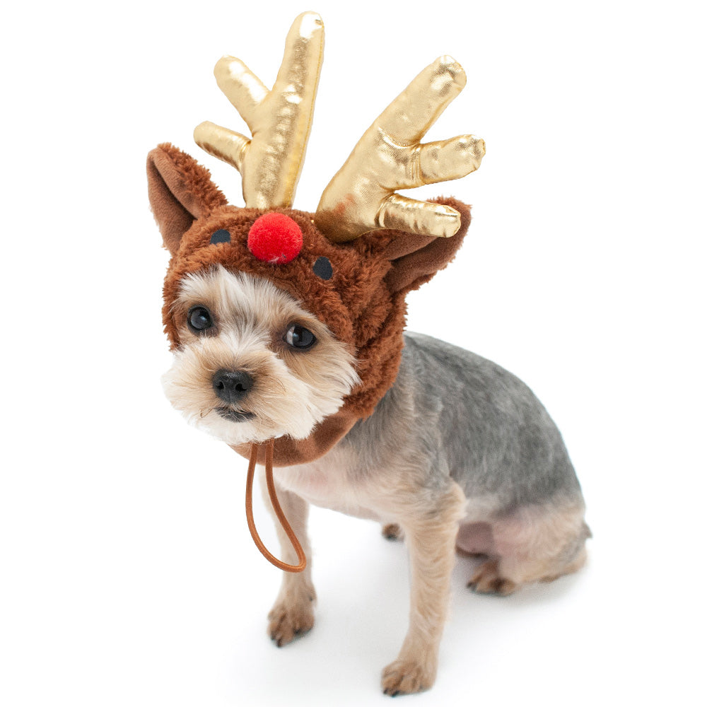 DOGO Rudolph Dog Costume Hat