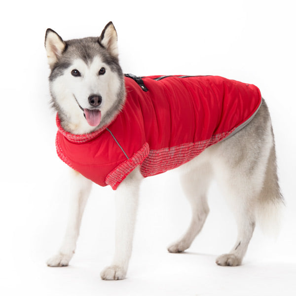 DOGO Original Dog Runner Coat