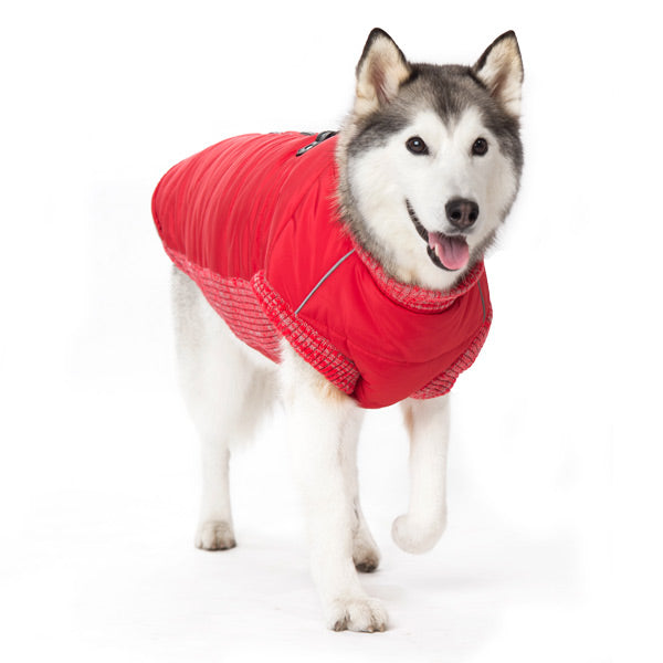 DOGO Original Dog Runner Coat