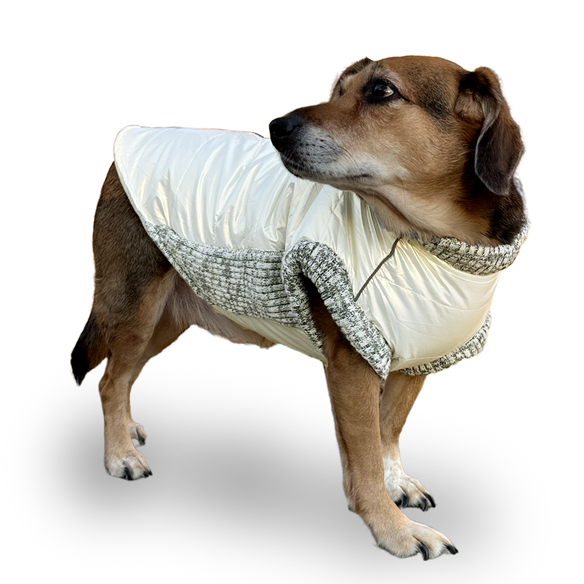 DOGO Metallic Pearl White Dog Runner Coat
