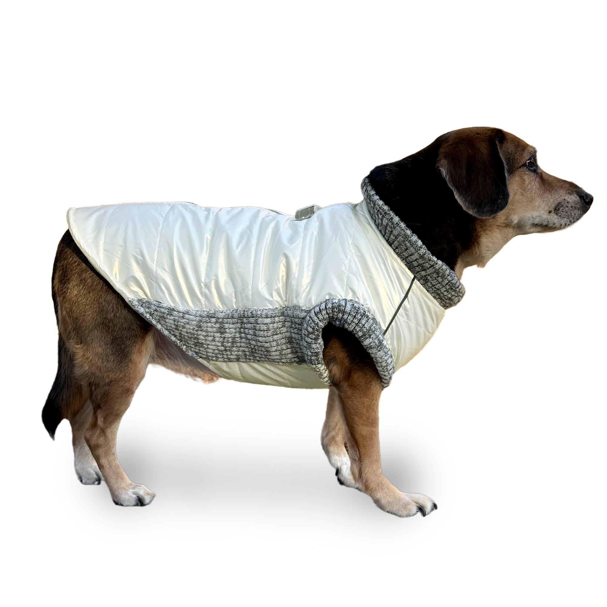 DOGO Metallic Pearl White Dog Runner Coat