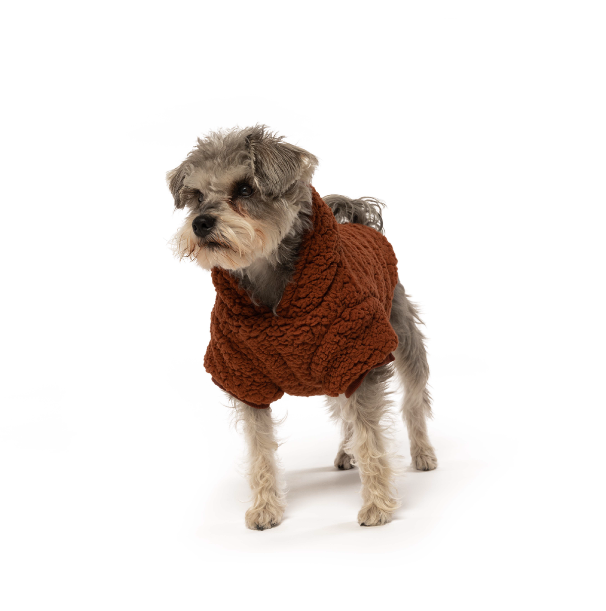 Rust Sherpa Hoodie 