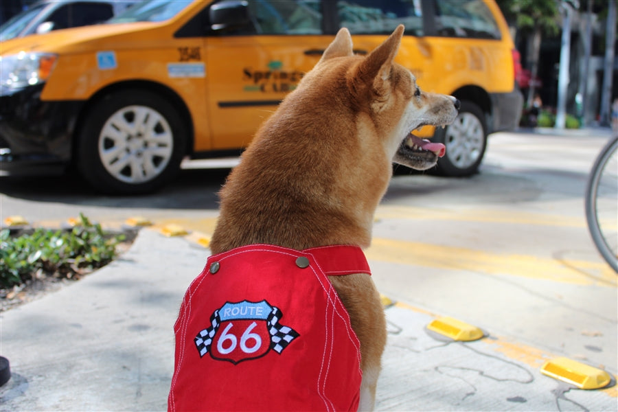 Parisian Pet Route 66 Jumpsuit-Red