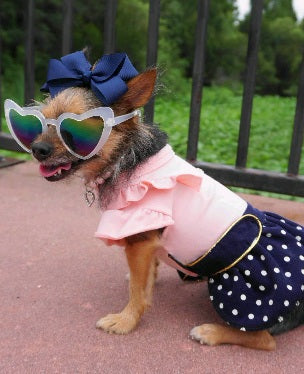 Parisian Pet Nautical Dress-Pink & Navy