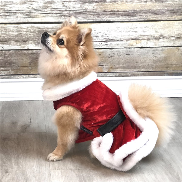 Parisian Pet Mrs. Claus Dress Dog & Cat Shirt  Holiday Pet Dress, Perfect for Christmas  Red