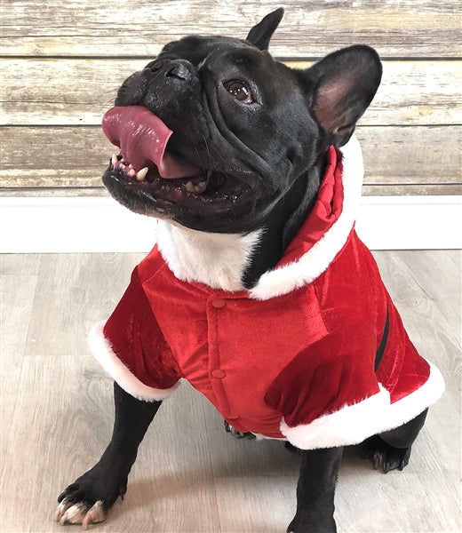 Parisian Pet Santa Claus Hoodie-Red