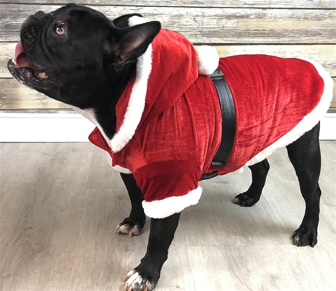 Parisian Pet Santa Claus Hoodie-Red