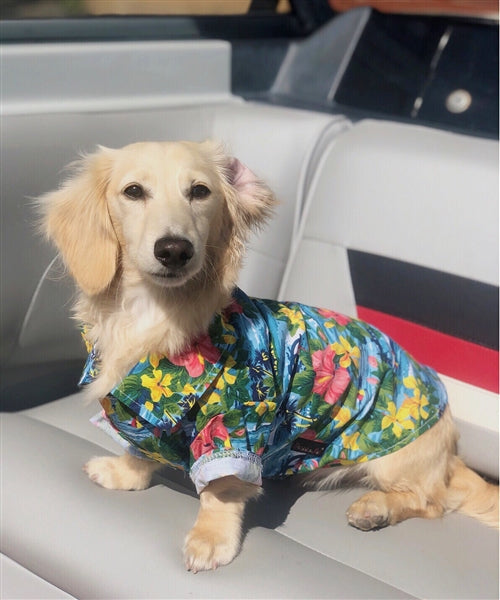 Parisian Pet Hawaiian Camp Dog & Cat Shirt  Lightweight Cotton, Stylish Vacation Pet Apparel  Blue