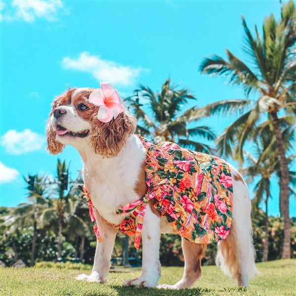 Parisian Pet Hawaiian Dress Dog T-Shirt-Orange