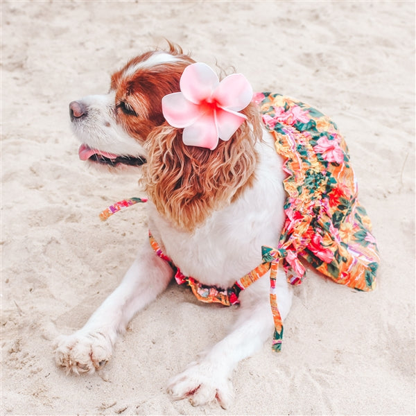 Parisian Pet Hawaiian Dress Dog T-Shirt-Orange