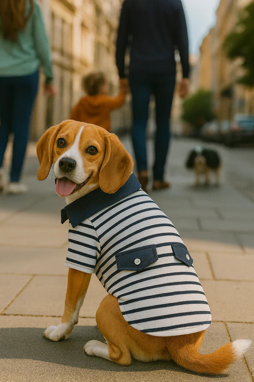 Parisian Pet Preppy Boy Polo Dog & Cat T-Shirt  Trendy Cotton Polo Shirt, Comfortable & Lightweight, Blue White Stripes-Valentines Day