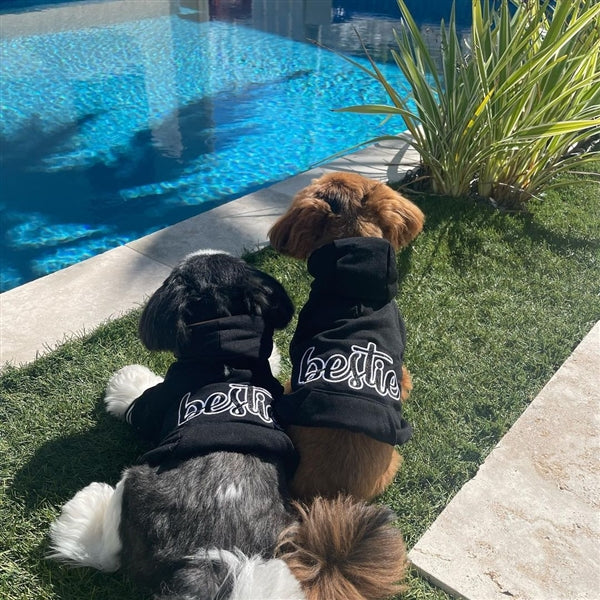 Parisian Pet Bestie Hoodie in Black - Trendy Pet Hoodie for Dogs & Cats, Perfect for Fall & Winter-Valentines Day