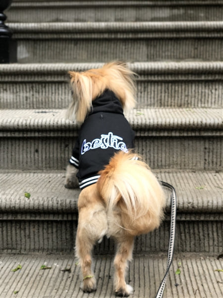 Parisian Pet Bestie Hoodie in Black - Trendy Pet Hoodie for Dogs & Cats, Perfect for Fall & Winter-Valentines Day