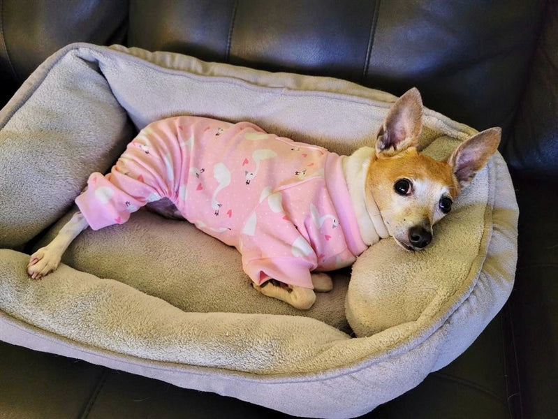 Parisian Pet Pink Swan Pajama
