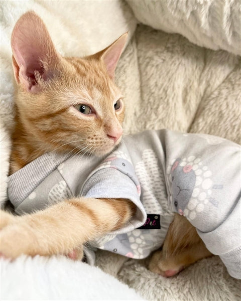 Parisian Pet Grey Sheep Pajama for Dogs & Cats, Designer Pet Sleepwear, Cozy Dog Pajama Set, Grey