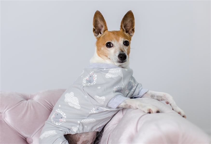 Parisian Pet Grey Sheep Pajama for Dogs & Cats, Designer Pet Sleepwear, Cozy Dog Pajama Set, Grey