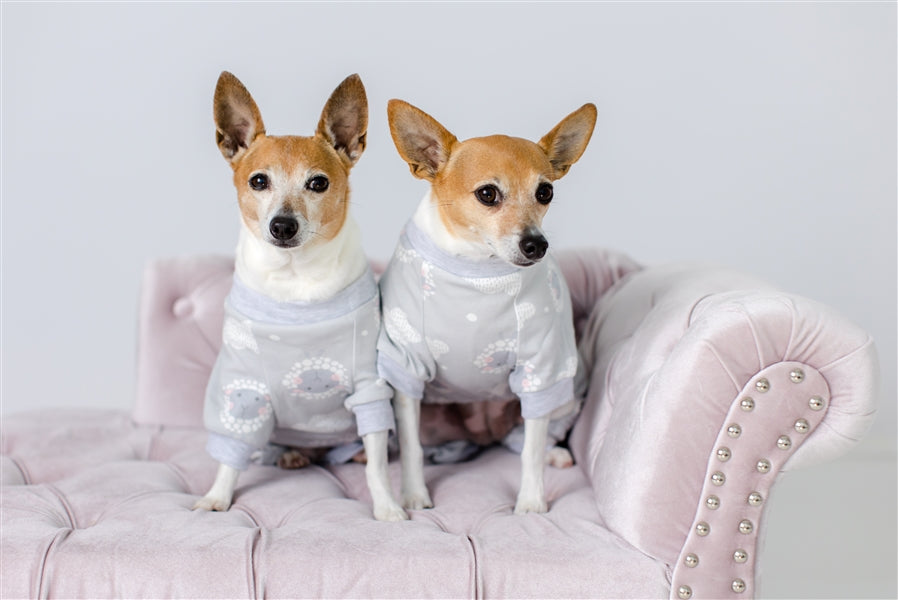 Parisian Pet Grey Sheep Pajama for Dogs & Cats, Designer Pet Sleepwear, Cozy Dog Pajama Set, Grey
