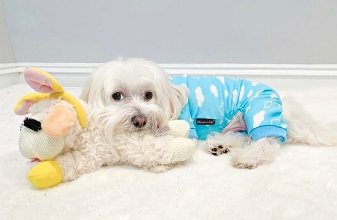 Parisian Pet Blue Cloud Pajama for Dogs & Cats, Comfortable Pet Pajama Set, Cozy Dog Pajamas, Blue