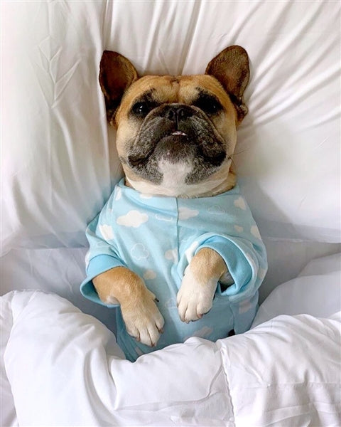 Parisian Pet Blue Cloud Pajama