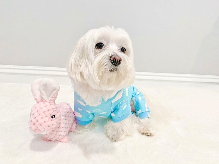 Parisian Pet Blue Cloud Pajama for Dogs & Cats, Comfortable Pet Pajama Set, Cozy Dog Pajamas, Blue