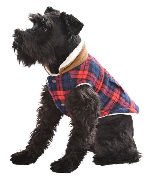 Parisian Pet Scottish Jacket for Dogs & Cats, Plaid Pet Jacket, Formal Wear, Holiday Pet Jacket, Red/Blue Plaid