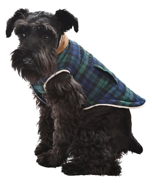 Parisian Pet Scottish Jacket for Dogs & Cats, Designer Pet Jacket, Holiday & Christmas Wear-Saint Patricks Day