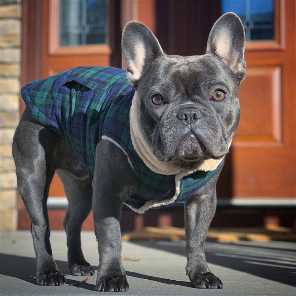 Parisian Pet Scottish Jacket