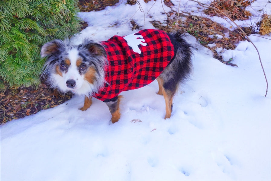 Parisian Pet Buffalo Checkered Sweater - Polar Bear for Dogs and Cats - Cozy Winter Wear with Adorable Polar Bear Design Red and Black