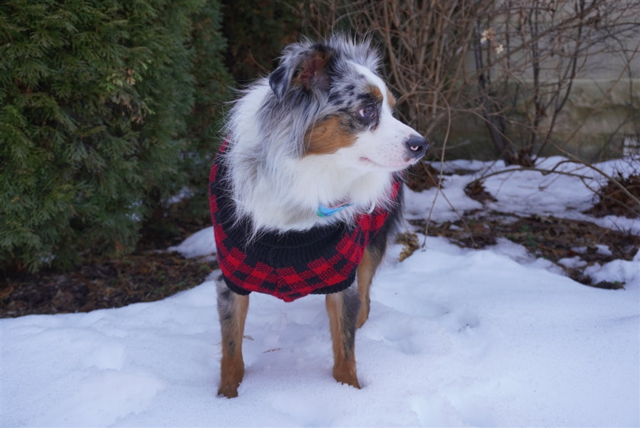Parisian Pet Buffalo Checkered Sweater