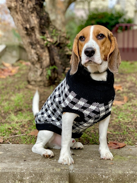 Parisian Pet Buffalo Checkered Sweater
