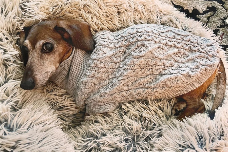 Parisian Pet Cable Knit Sweater