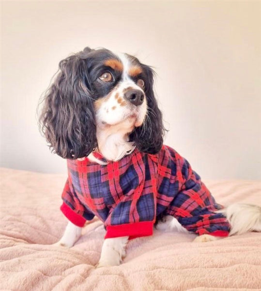 Parisian Pet Scottish Pajama for Dogs & Cats, Cozy Pet Pajama Set, Red/Blue Plaid