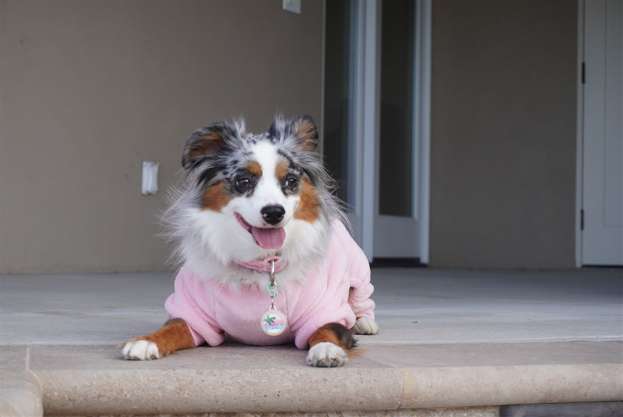 Parisian Pet Velour Pajama Blush