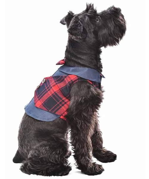 Parisian Pet Scottish Pleated Tuxedo Red/Blue Plaid