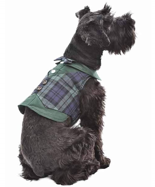 Parisian Pet Scottish Taffeta Tuxedo for Dogs and Cats, Designer Formal Wear, Saint Patricks Day