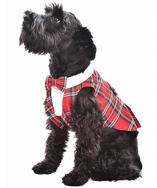 Parisian Pet Tartan Tuxedo White/Red for Dogs and Cats, Stylish Christmas Formal Wear, Designer Pet Tuxedo