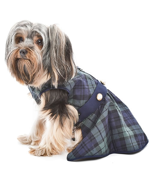 Parisian Pet Scottish Taffeta Dress Dog T-Shirt-Green, Blue