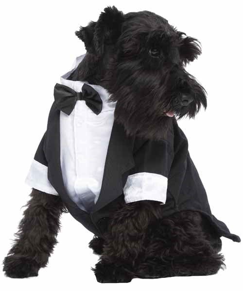 Parisian Pet Satin Party Tux-Black & White